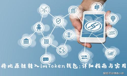 如何將比原鏈轉(zhuǎn)入imToken錢包：詳細(xì)指南與實用技巧