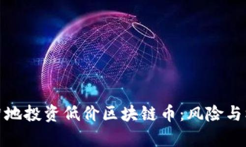 如何明智地投資低價區(qū)塊鏈幣：風險與機會并存