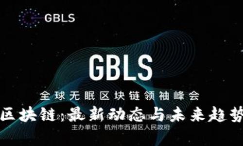 水皮區(qū)塊鏈:最新動態(tài)與未來趨勢分析